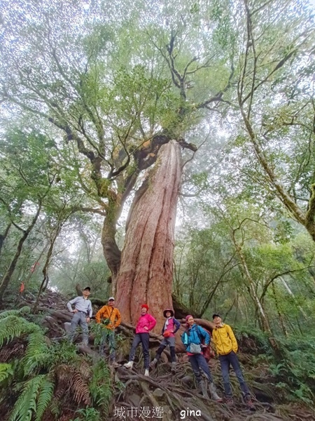 【宜蘭大同】散落的珍珠加羅湖