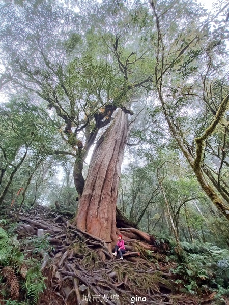 【宜蘭大同】散落的珍珠加羅湖