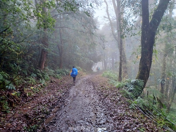 【宜蘭大同】散落的珍珠加羅湖