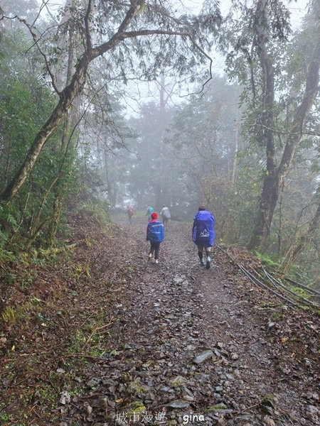【宜蘭大同】散落的珍珠加羅湖