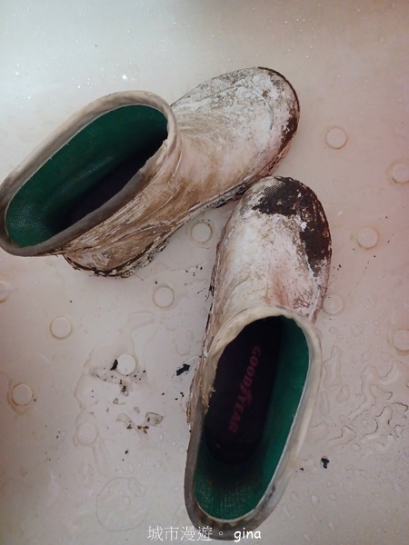 【宜蘭大同】散落的珍珠加羅湖