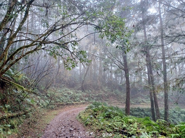 【宜蘭大同】散落的珍珠加羅湖
