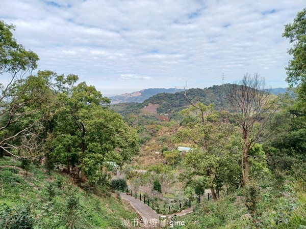 【台中后里】台中后里~后里鳳凰山觀音山步道~