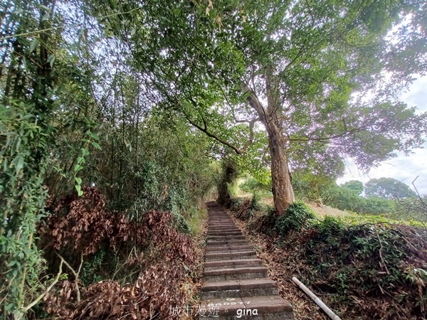 【台中后里】台中后里~后里鳳凰山觀音山步道~