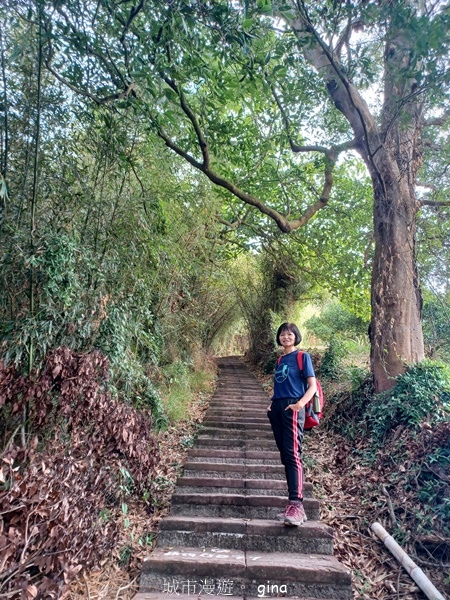 【台中后里】台中后里~后里鳳凰山觀音山步道~