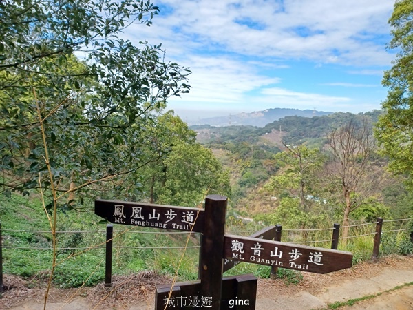 【台中后里】台中后里~后里鳳凰山觀音山步道~