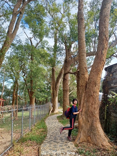 【台中后里】台中后里~后里鳳凰山觀音山步道~