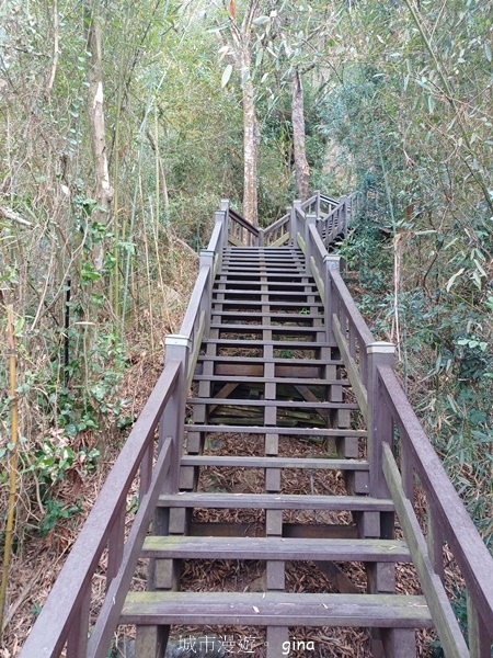 【台中后里】台中后里~后里鳳凰山觀音山步道~