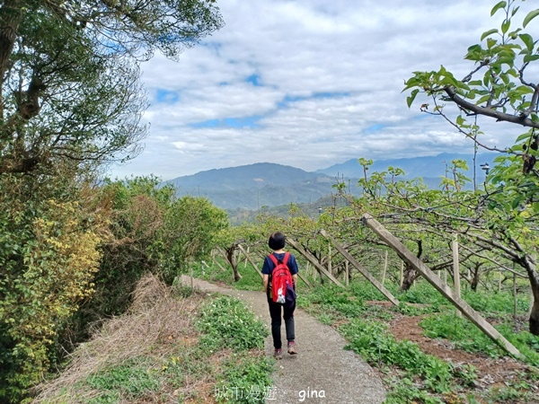 【台中后里】台中后里~后里鳳凰山觀音山步道~