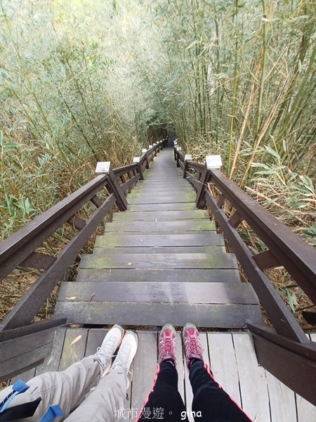 【台中后里】台中后里~后里鳳凰山觀音山步道~