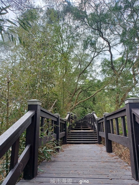 【台中后里】台中后里~后里鳳凰山觀音山步道~
