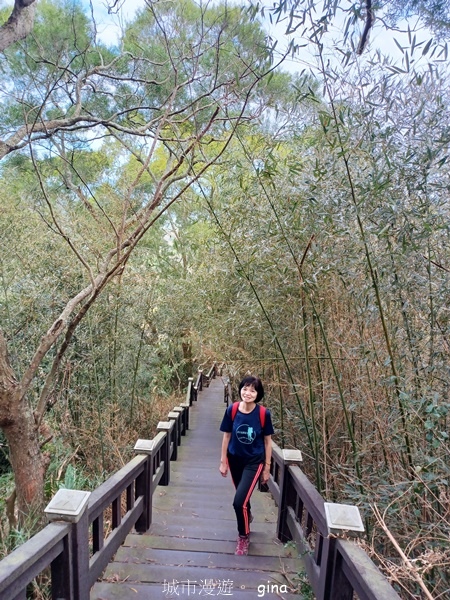 【台中后里】台中后里~后里鳳凰山觀音山步道~