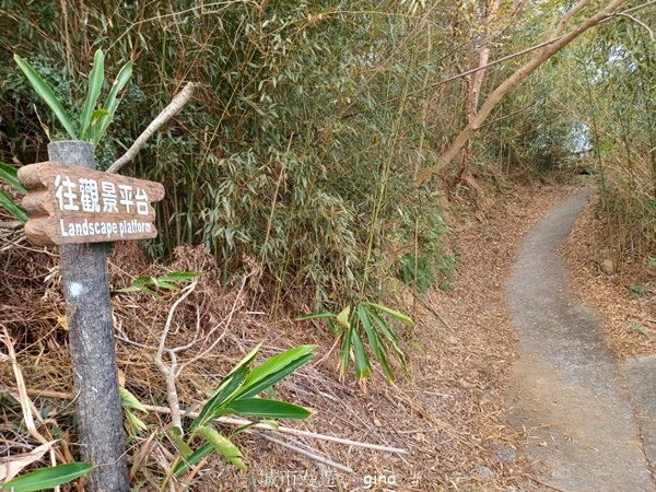 【台中后里】台中后里~后里鳳凰山觀音山步道~