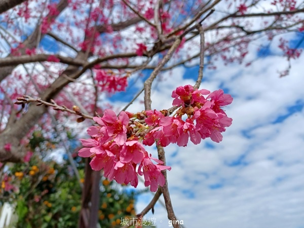 【台中后里】台中后里~后里鳳凰山觀音山步道~