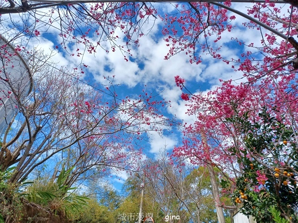 【台中后里】台中后里~后里鳳凰山觀音山步道~