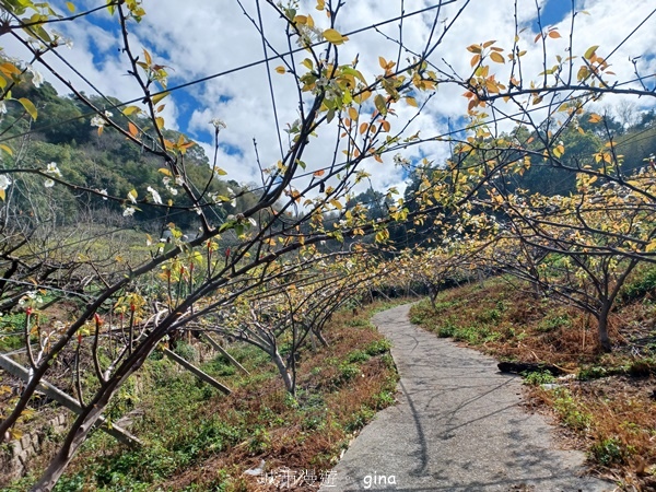 【台中后里】台中后里~后里鳳凰山觀音山步道~