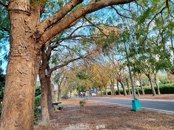 【台中后里】台中后里~后里鳳凰山觀音山步道~