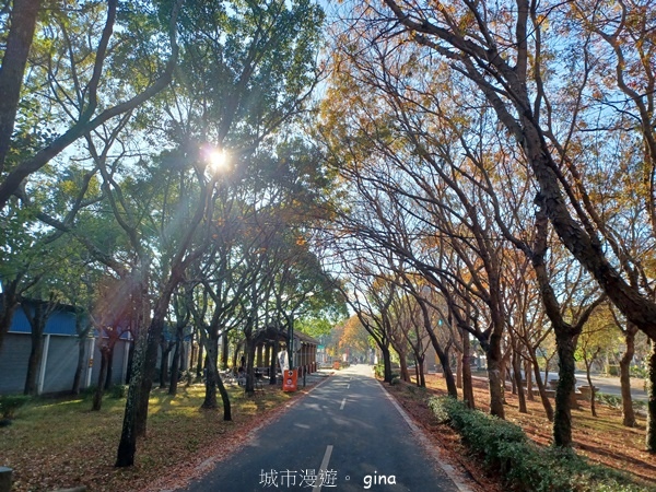 【台中后里】台中后里~后里鳳凰山觀音山步道~