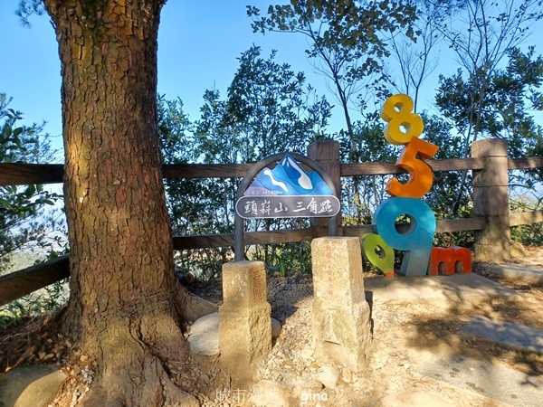 【台中北屯】大坑四號步道頭嵙山 【台中北屯】大坑四號步道頭嵙山