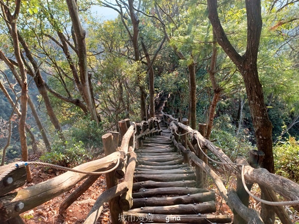 【台中北屯】大坑四號步道頭嵙山 【台中北屯】大坑四號步道頭嵙山