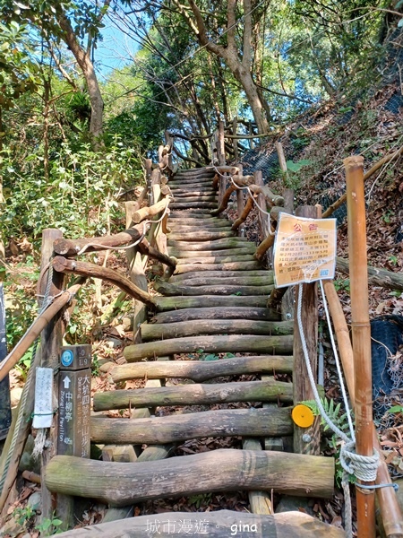 【台中北屯】大坑四號步道頭嵙山 【台中北屯】大坑四號步道頭嵙山