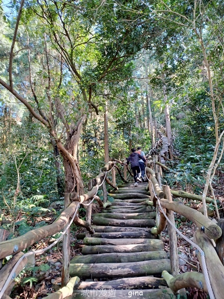 【台中北屯】大坑四號步道頭嵙山 【台中北屯】大坑四號步道頭嵙山