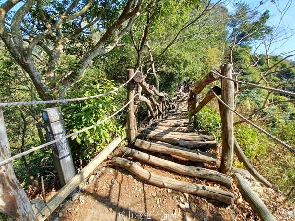 【台中北屯】大坑四號步道頭嵙山 【台中北屯】大坑四號步道頭嵙山