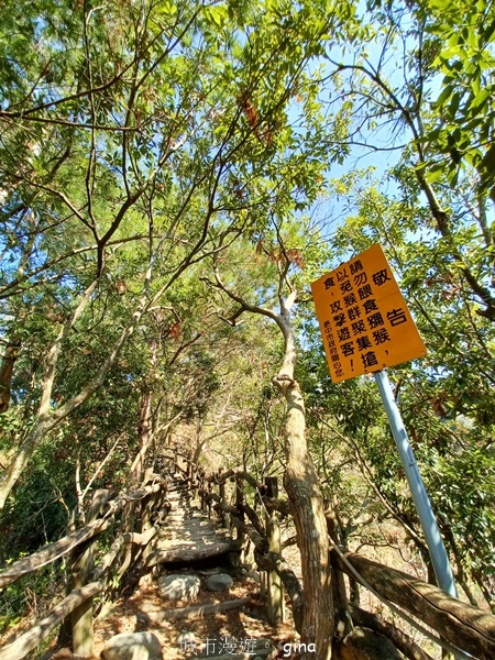 【台中北屯】大坑四號步道頭嵙山 【台中北屯】大坑四號步道頭嵙山