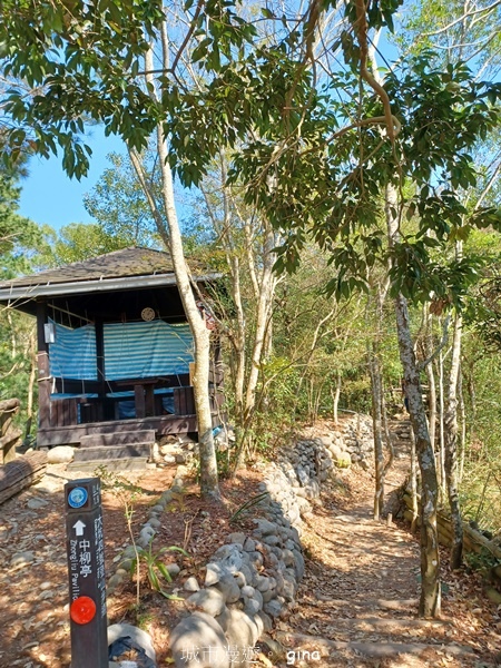 【台中北屯】大坑四號步道頭嵙山 【台中北屯】大坑四號步道頭嵙山