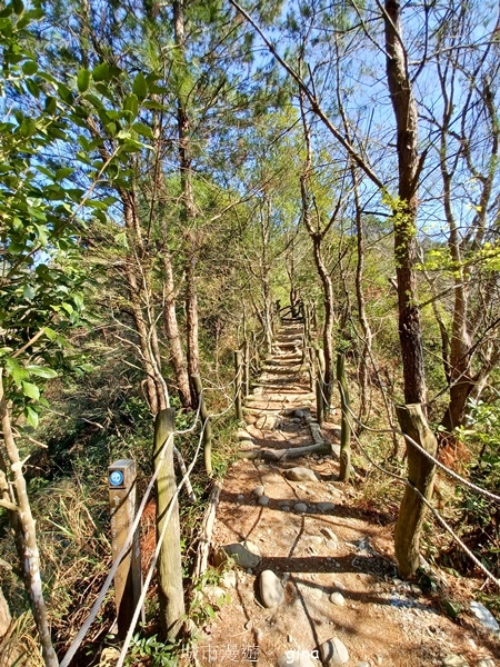【台中北屯】大坑四號步道頭嵙山 【台中北屯】大坑四號步道頭嵙山