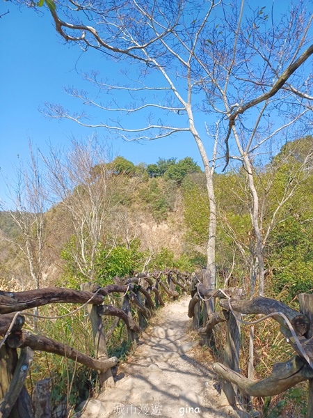 【台中北屯】大坑四號步道頭嵙山 【台中北屯】大坑四號步道頭嵙山