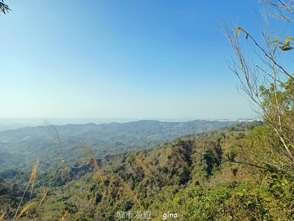 【台中北屯】大坑四號步道頭嵙山 【台中北屯】大坑四號步道頭嵙山