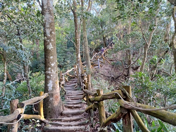 【台中北屯】大坑四號步道頭嵙山 【台中北屯】大坑四號步道頭嵙山