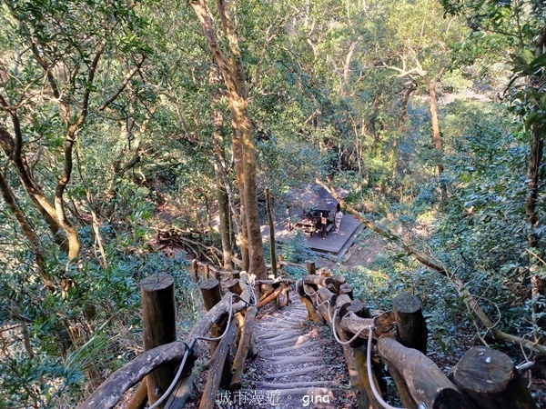 【台中北屯】大坑四號步道頭嵙山 【台中北屯】大坑四號步道頭嵙山