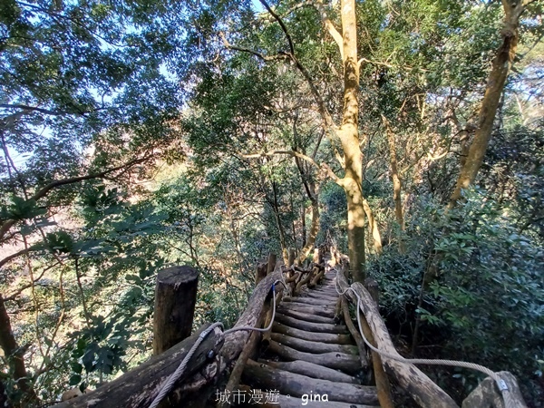【台中北屯】大坑四號步道頭嵙山 【台中北屯】大坑四號步道頭嵙山