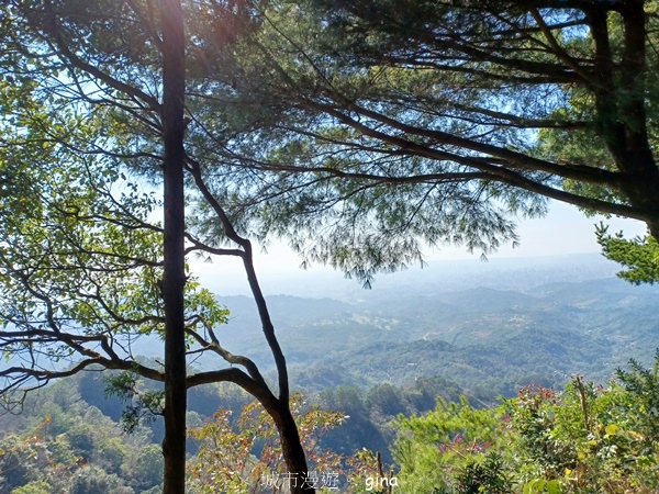 【台中北屯】大坑四號步道頭嵙山 【台中北屯】大坑四號步道頭嵙山