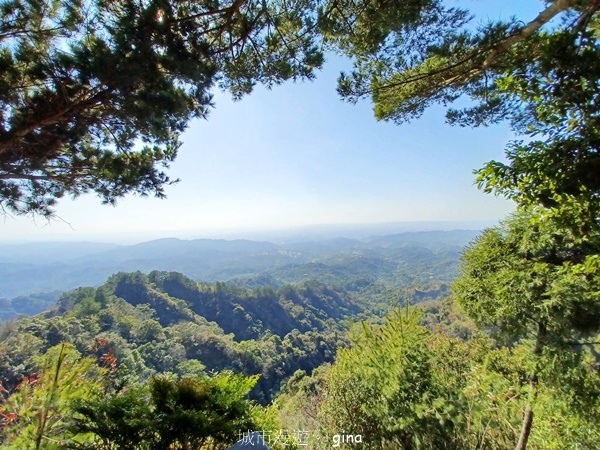 【台中北屯】大坑四號步道頭嵙山 【台中北屯】大坑四號步道頭嵙山