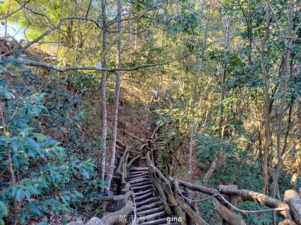 【台中北屯】大坑四號步道頭嵙山 【台中北屯】大坑四號步道頭嵙山