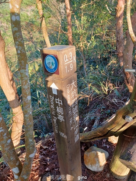 【台中北屯】大坑四號步道頭嵙山 【台中北屯】大坑四號步道頭嵙山