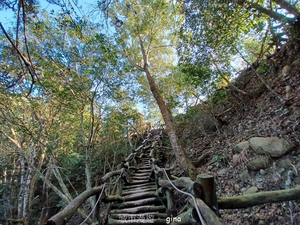 【台中北屯】大坑四號步道頭嵙山 【台中北屯】大坑四號步道頭嵙山