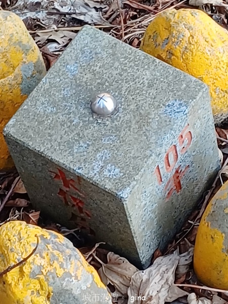 【台中北屯】大坑四號步道頭嵙山 【台中北屯】大坑四號步道頭嵙山