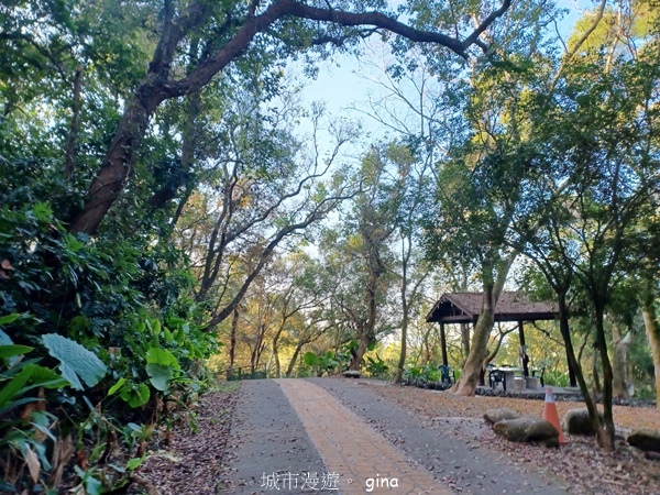 【彰化社頭】田中大小劍登內樹尾山下十八彎古道