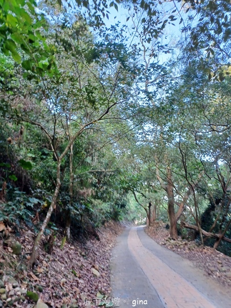【彰化社頭】田中大小劍登內樹尾山下十八彎古道