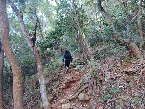 【彰化社頭】田中大小劍登內樹尾山下十八彎古道