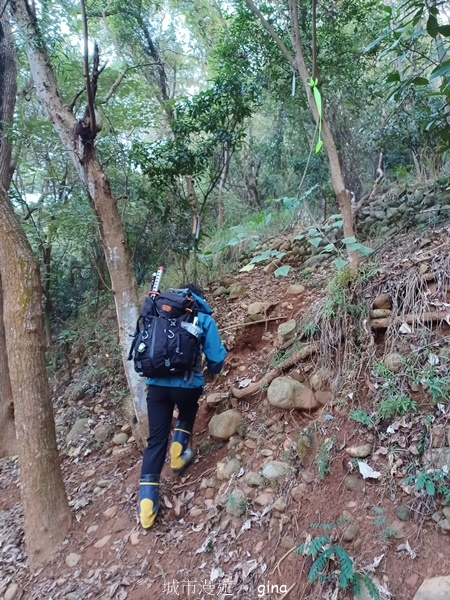 【彰化社頭】田中大小劍登內樹尾山下十八彎古道