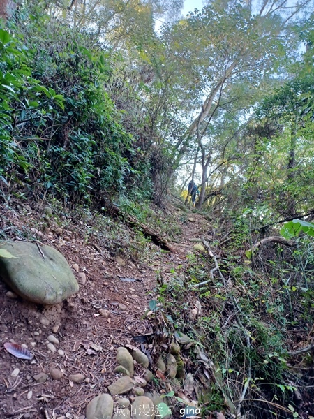 【彰化社頭】田中大小劍登內樹尾山下十八彎古道