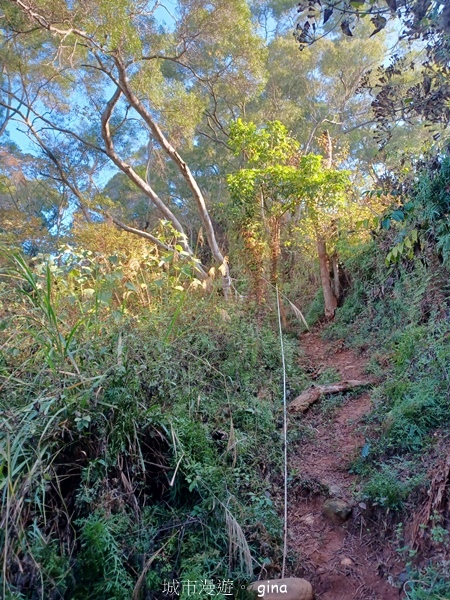 【彰化社頭】田中大小劍登內樹尾山下十八彎古道