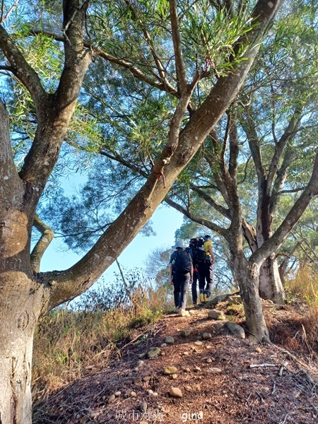 【彰化社頭】田中大小劍登內樹尾山下十八彎古道