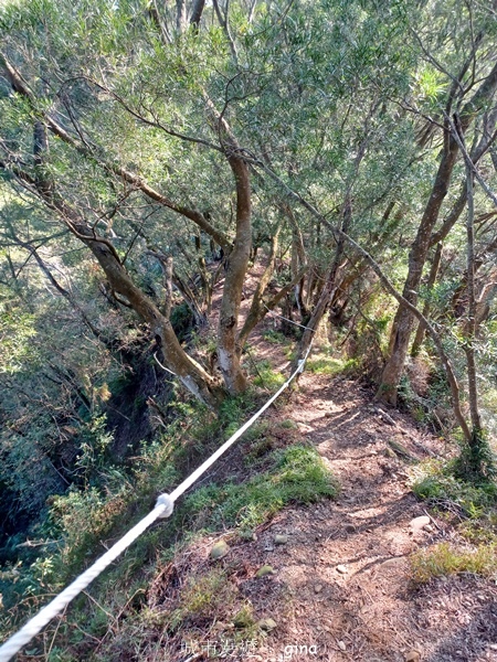【彰化社頭】田中大小劍登內樹尾山下十八彎古道