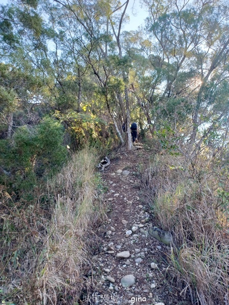 【彰化社頭】田中大小劍登內樹尾山下十八彎古道